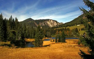 湖畔山脉树林风景图片