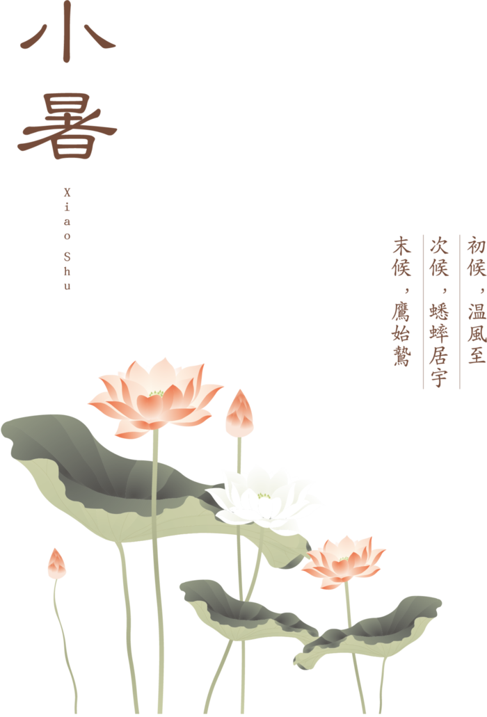 24节气小暑