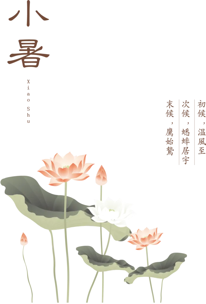 24节气小暑