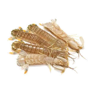 虾类(8)海鲜超市商品红酒白底图免抠实物摄影png格式图片透明底