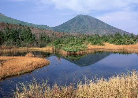 绿树山水 94 绿树山水 94