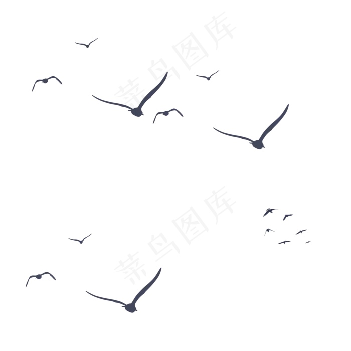 黑色飞鸟免扣