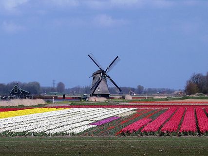 风景 天空 旅行美丽 (209)