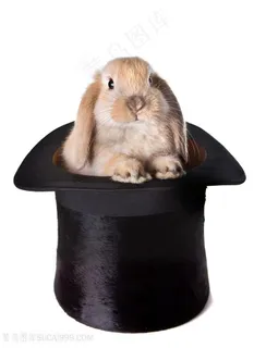 帽子里的垂耳兔图片