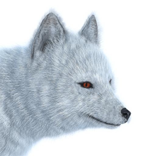 北极狐 PNG(256x256)