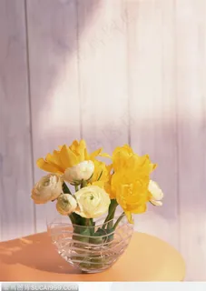 插花物语-白玫瑰和郁金香 插花物语-白玫瑰和郁金香