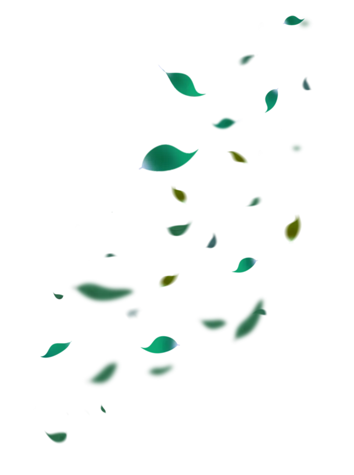 绿色树叶免扣