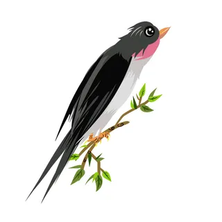 水彩手绘春季春天柳树柳条枝条小鸟小燕子元素PSD设计素材PNG图片