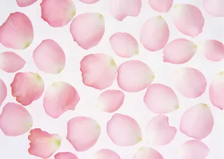 花团锦簇粉色花