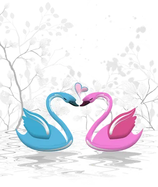 天鹅爱情情人节