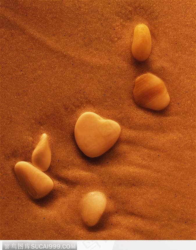 贝壳（零散着的）