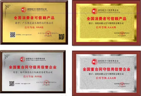 木托 奖牌 证书 木托奖牌 人才 设计