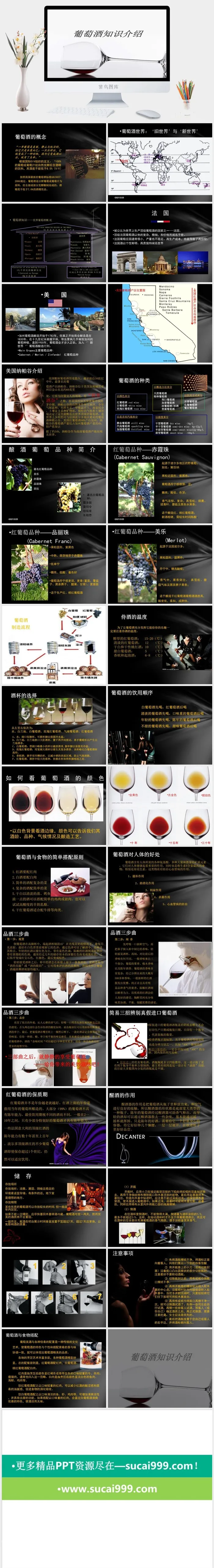红酒葡萄酒知识培训宣传介绍PPT模板