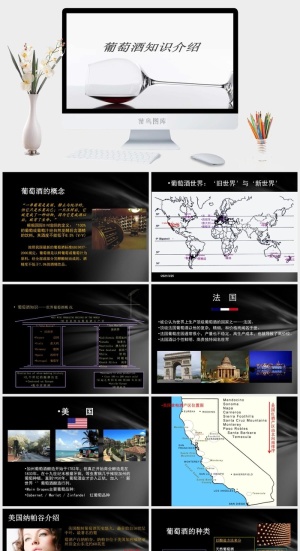 红酒葡萄酒知识培训宣传介绍PPT模板预览图