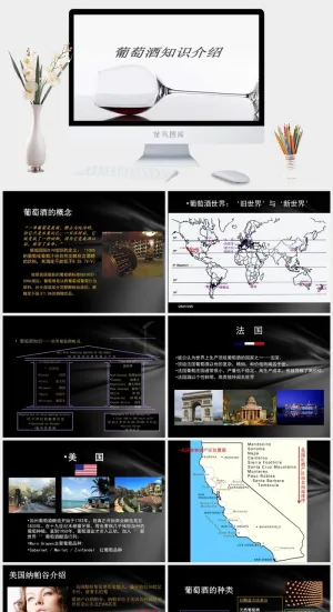 红酒葡萄酒知识培训宣传介绍PPT模板预览图