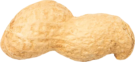 09_Peanut