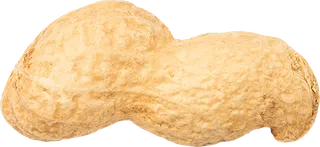 09_Peanut