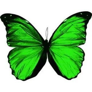 绿色飞翔的蝴蝶 PNG免抠