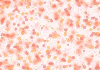 图片设计素材背景鸟语花香