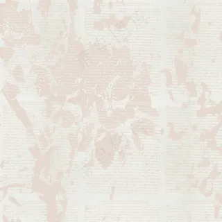 桌面背景图片下载