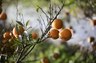 风景|摄影|高清|原创|山水