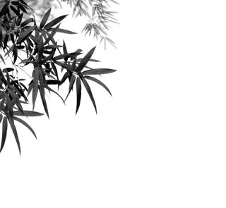 竹子水墨画中国风国画墨水书法竹子画