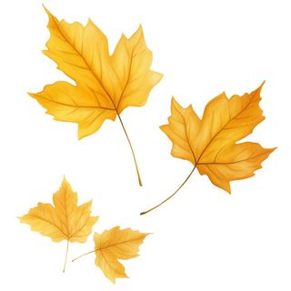 黄色的叶子免抠