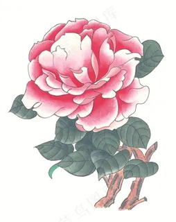 瓜果蔬菜鱼虾蟹系列素材 瓜果蔬菜鱼虾蟹系列素材