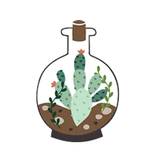 花瓶植物仙人掌