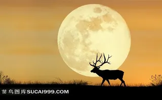 月色孤鹿图片