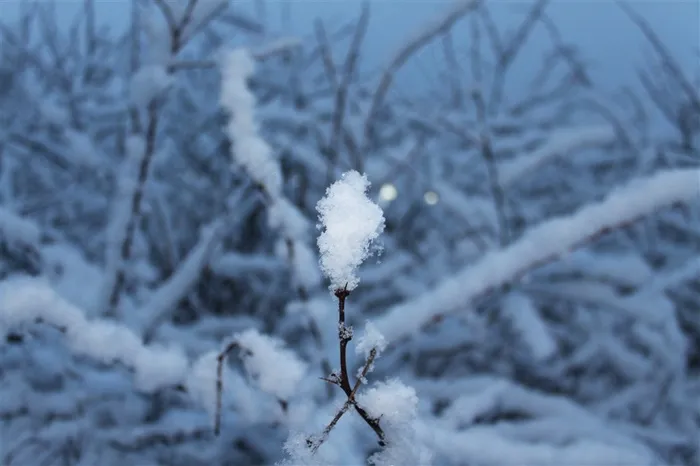冬季晶莹的雪花高清素材图