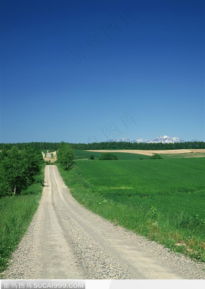 蓝天下的绿草地和公路