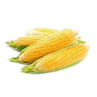 免抠玉米，大玉米，好玉米