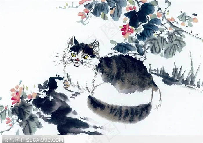 菊花旁的小猫