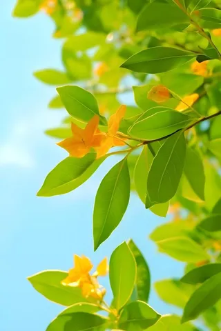 清新简约绿叶小花背景