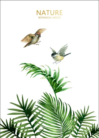 鸟绿叶树叶免扣高清图