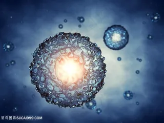 细胞细菌生物高清图