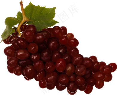葡萄免抠素材 (42)