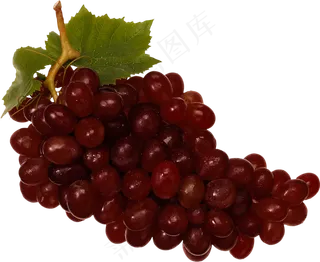 葡萄免抠素材 (42)