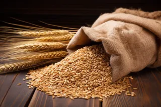 秋季成熟作物布袋倒出的小麦和干麦穗摄影图