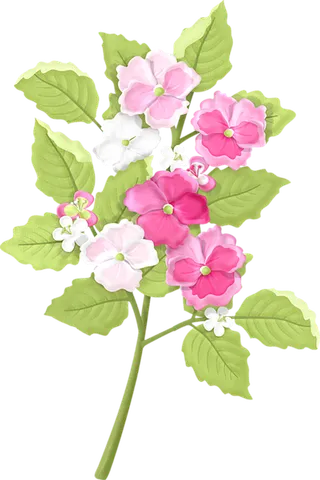 花枝卡通简笔素材谷雨