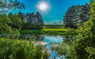 促销 吊旗 夏季海报 缤纷夏季 水上乐园