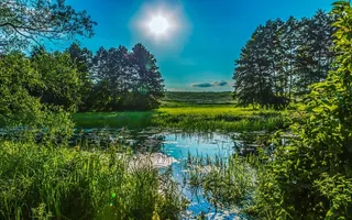 促销 吊旗 夏季海报 缤纷夏季 水上乐园
