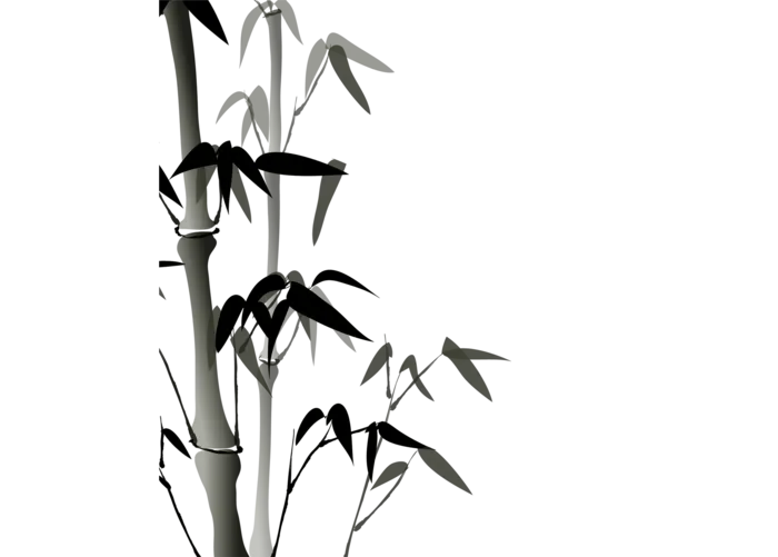 竹子水墨画中国风国画墨水书法竹子画