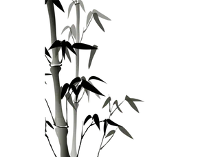 竹子水墨画中国风国画墨水书法竹子画