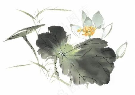 花卉国画欣赏jpg素材 花卉国画欣赏jpg素材