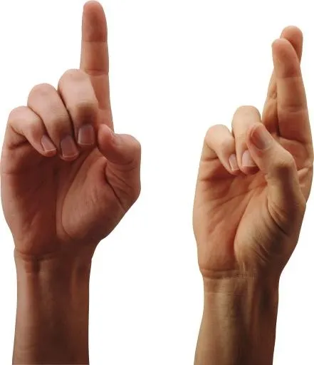 手 PNG免抠(3087x3578)