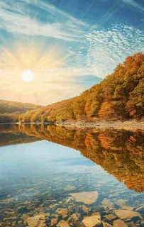 秋天蓝天阳光秋叶树木湖面水中倒影，秋分寒露摄影图