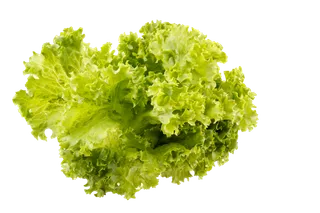 生菜 (21)超市商品白底图免抠实物摄影png格式图片透明底