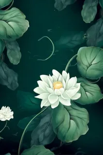 墨绿色荷花荷叶国风背景